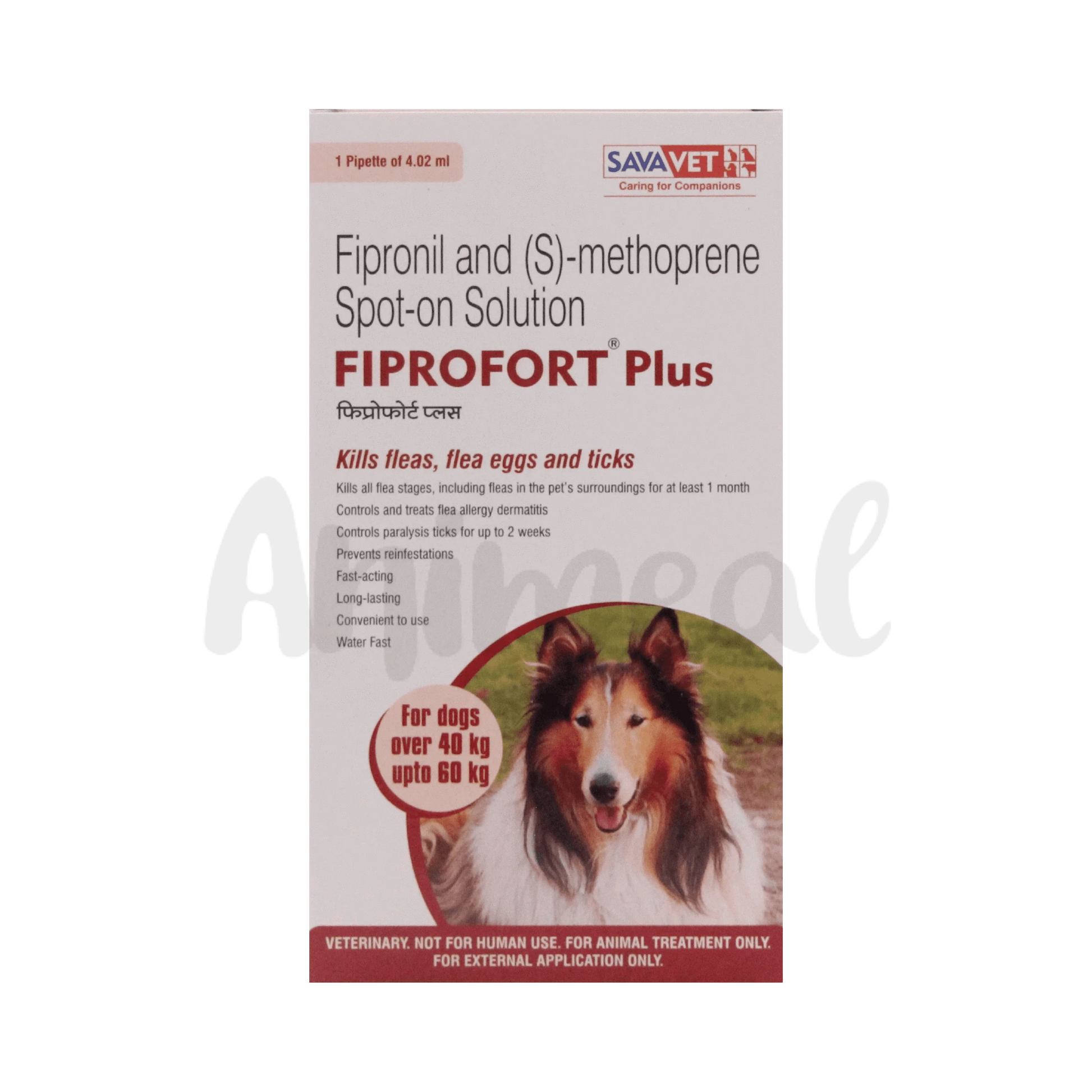 FIPROFORT PLUS (40-60KG) DOG SPOT ON - Animeal