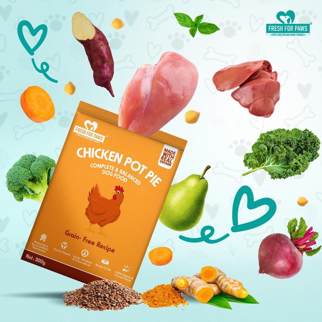 Fresh For Paws Chicken Pot Pie Wet Food for Dogs