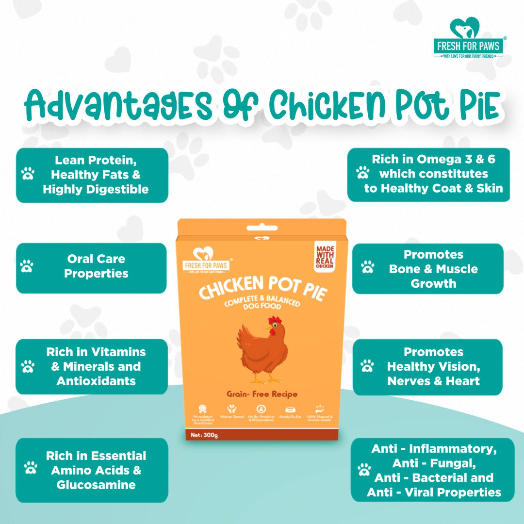 Fresh For Paws Chicken Pot Pie Wet Food for Dogs