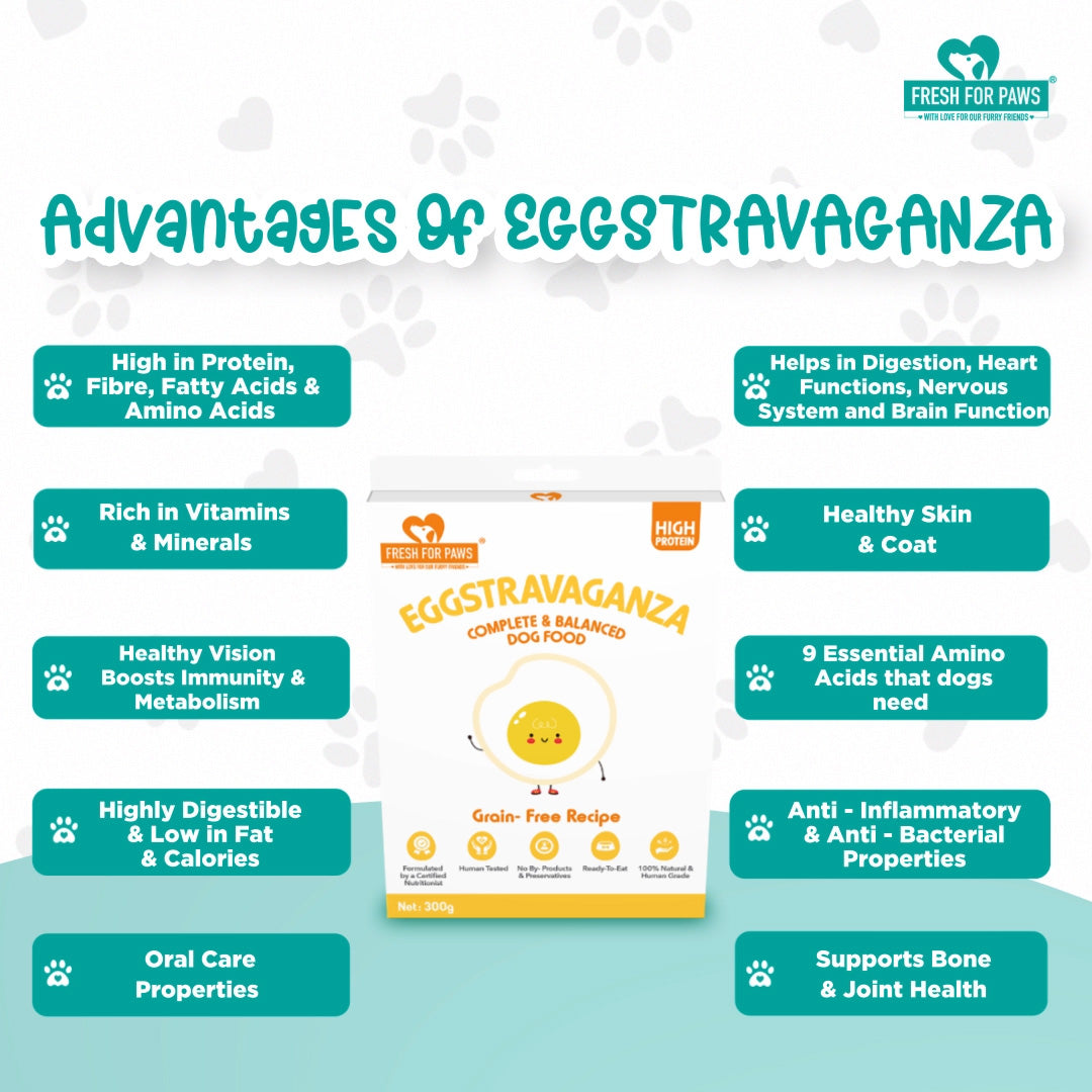 Fresh For Paws Eggstravaganza Wet Food for Dogs