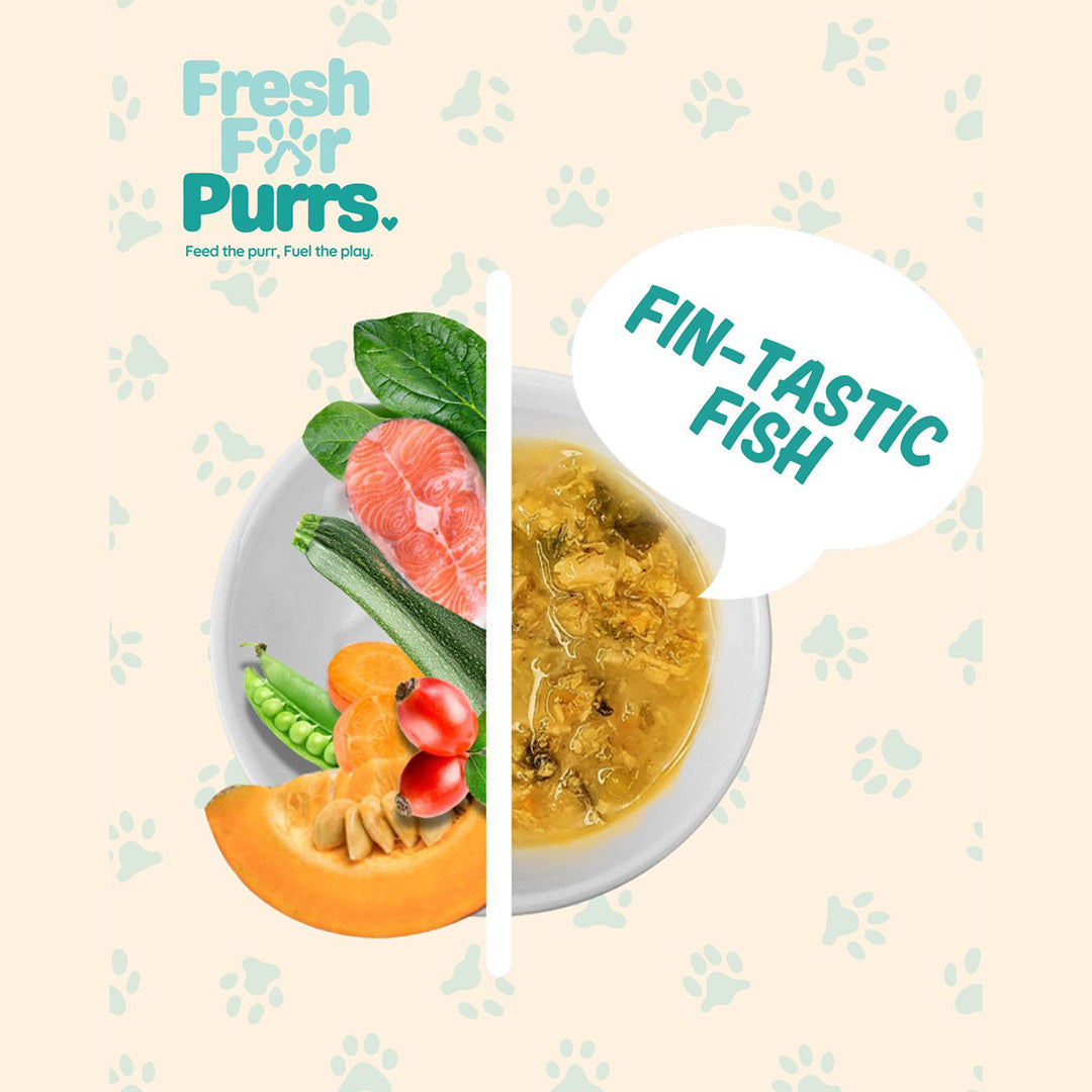 Fresh For Purrs Fin Tastic Fish Feast Cat Wet Food