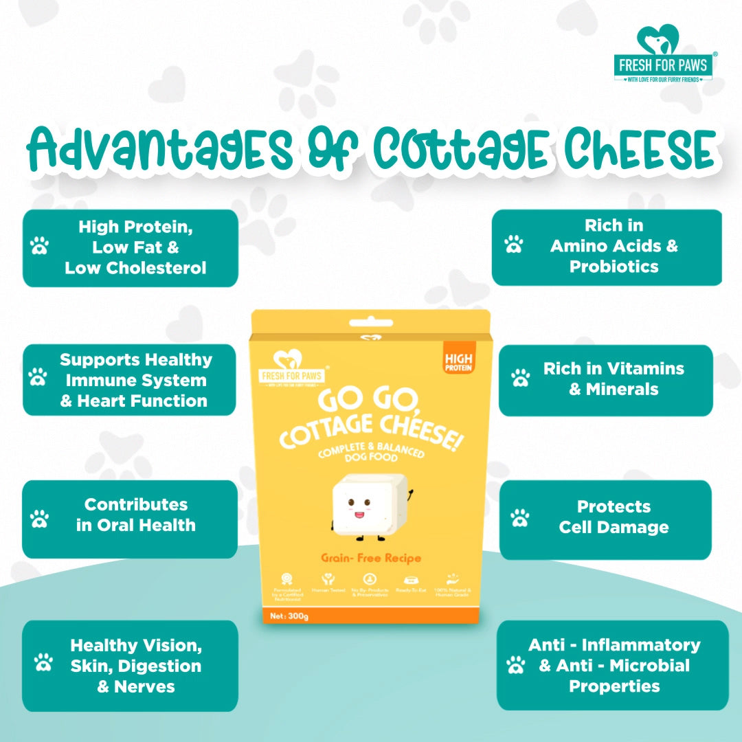 Fresh For Paws Go Go Cottage Cheese Wet Food for Dogs
