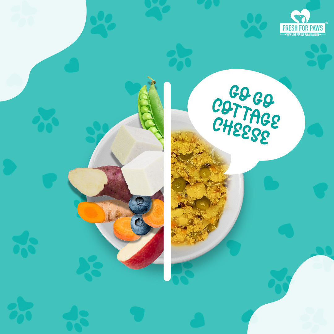 Fresh For Paws Go Go Cottage Cheese Wet Food for Dogs