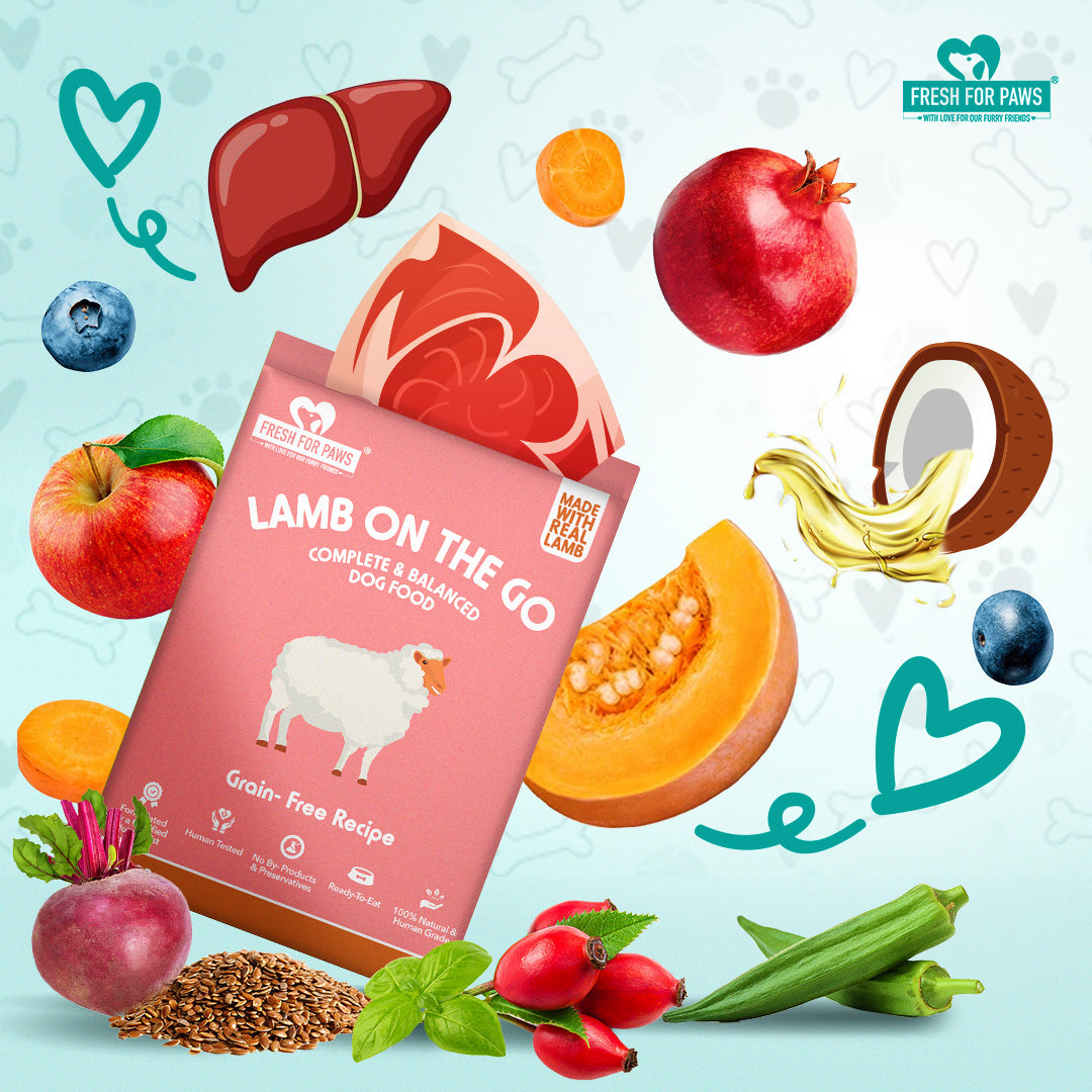 Fresh For Paws Lamb On The Go Wet Food for Dogs