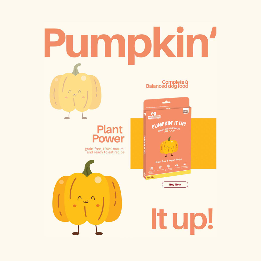Fresh For Paws Pumpkin It Up Wet Food for Dogs