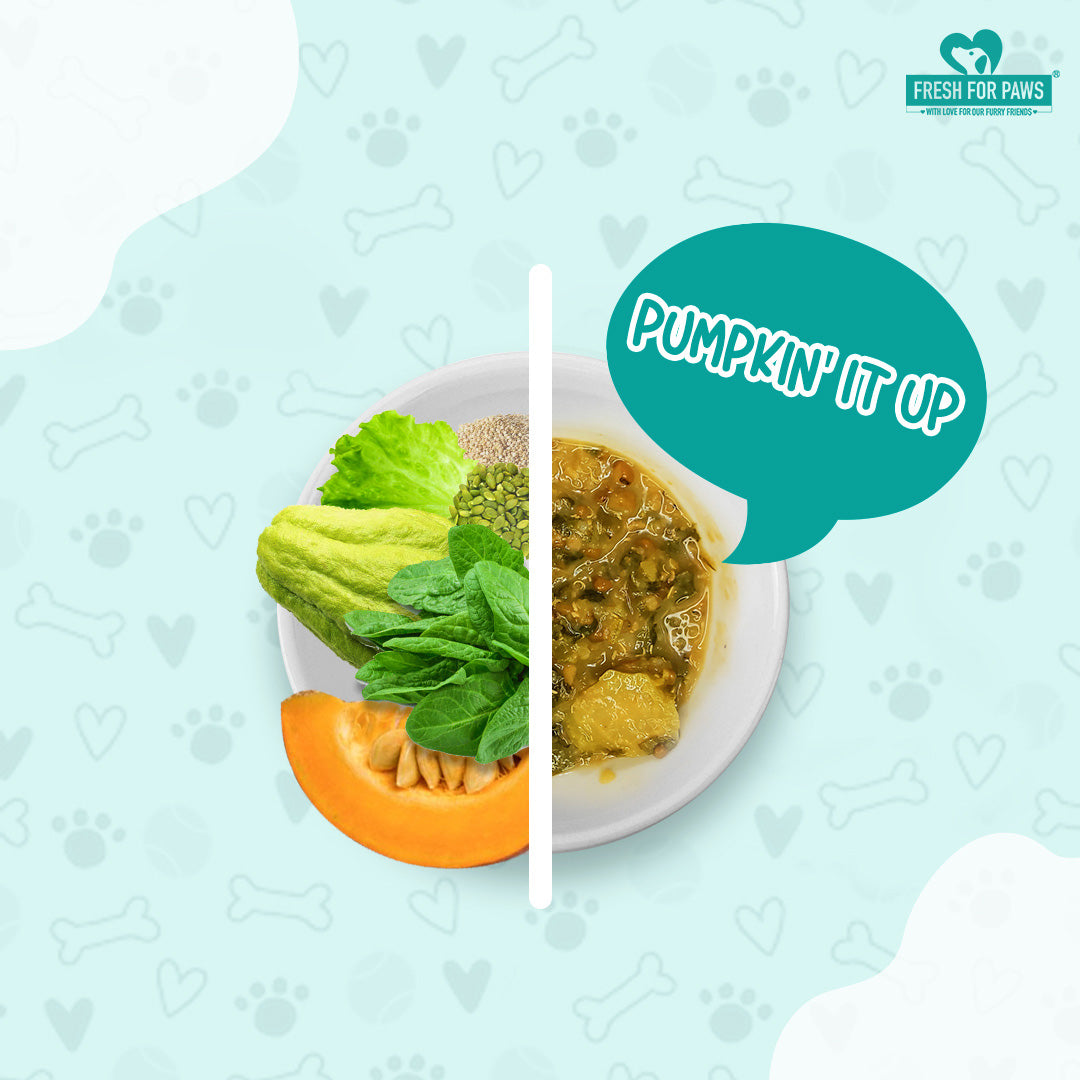 Fresh For Paws Pumpkin It Up Wet Food for Dogs