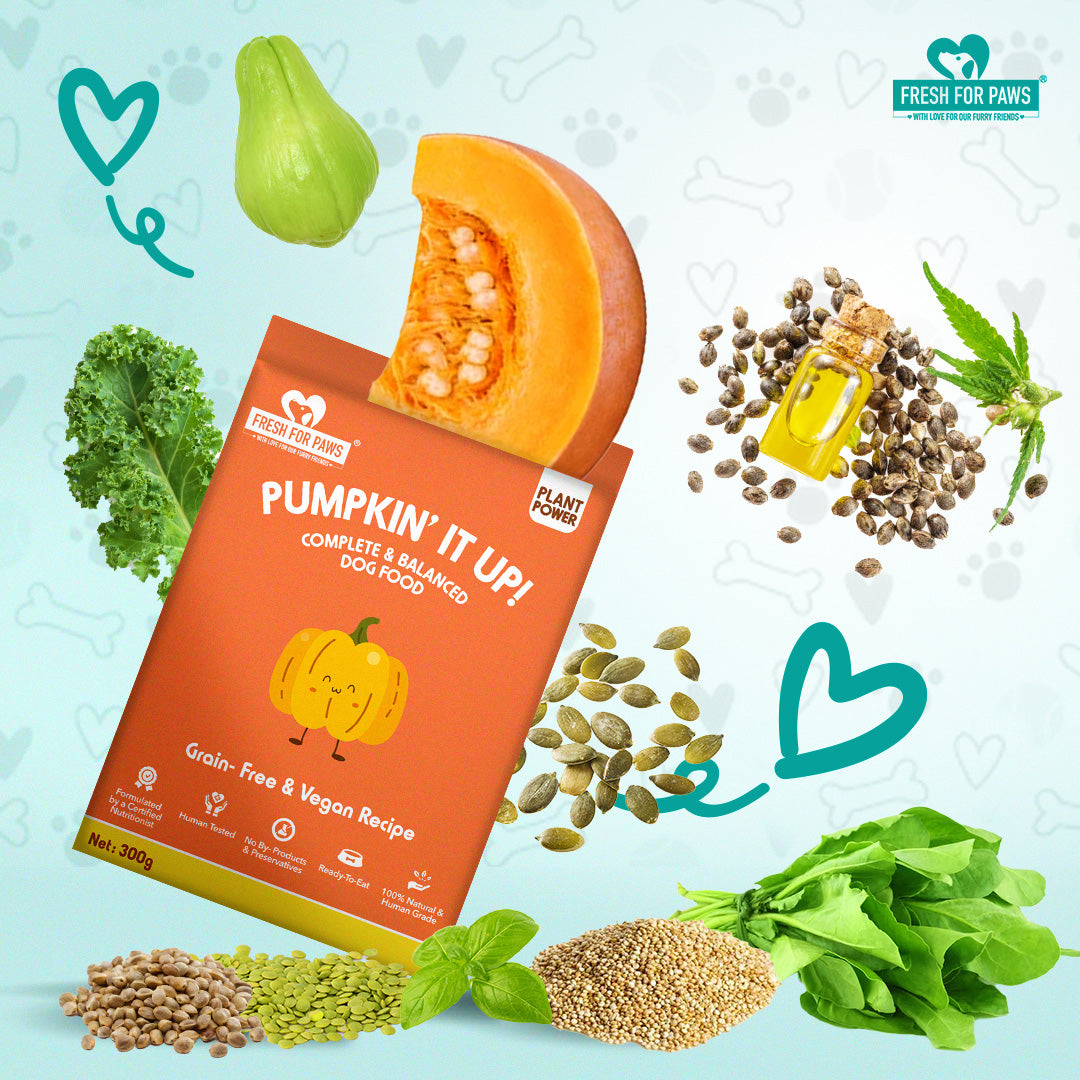 Fresh For Paws Pumpkin It Up Wet Food for Dogs