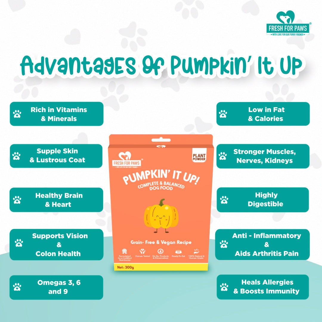 Fresh For Paws Pumpkin It Up Wet Food for Dogs