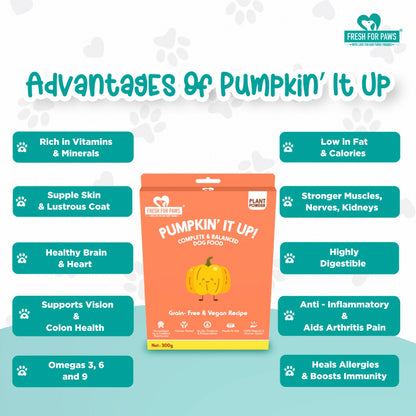 Fresh For Paws Pumpkin It Up Wet Food for Dogs