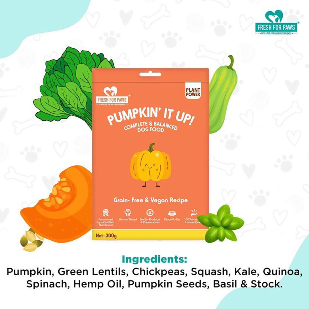 Fresh For Paws Pumpkin It Up Wet Food for Dogs