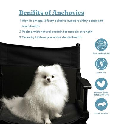 FurryFeast Fishy Bytes | Air-Dried Anchovies Treats for Dogs & Cats