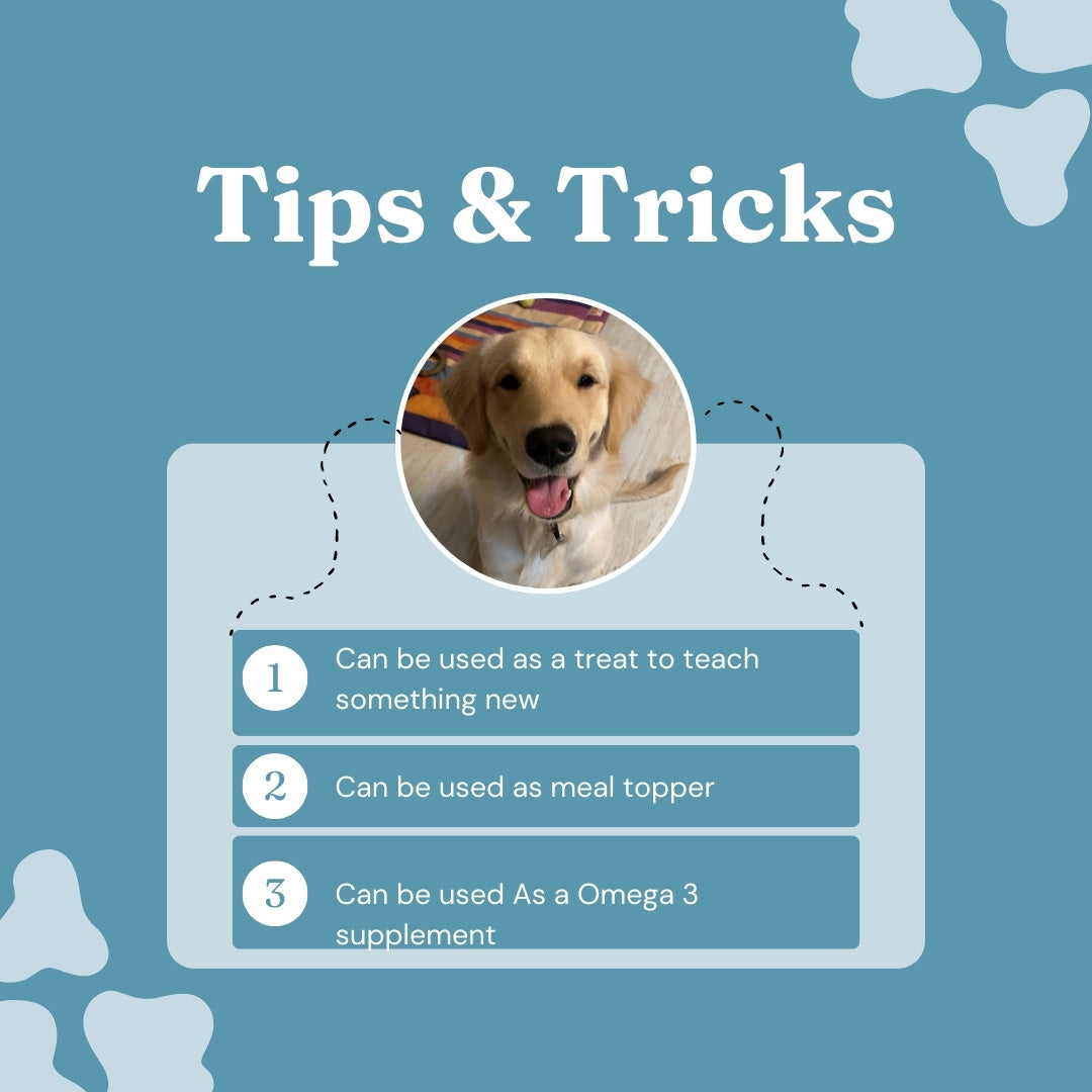 FurryFeast Fishy Bytes | Air-Dried Anchovies Treats for Dogs & Cats