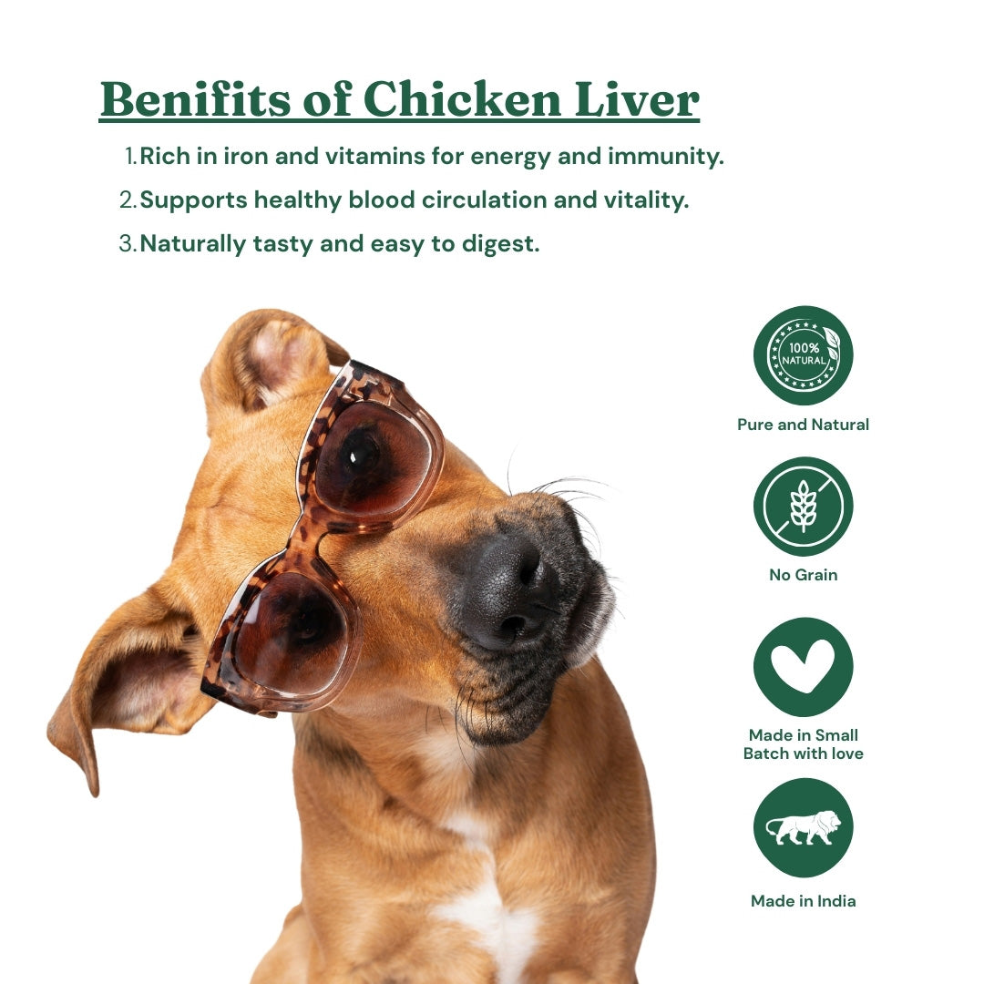 FurryFeast Immune Bites | Chicken Liver Jerky Treats for Dogs & Cats