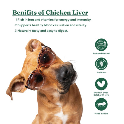 FurryFeast Immune Bites | Chicken Liver Jerky Treats for Dogs & Cats