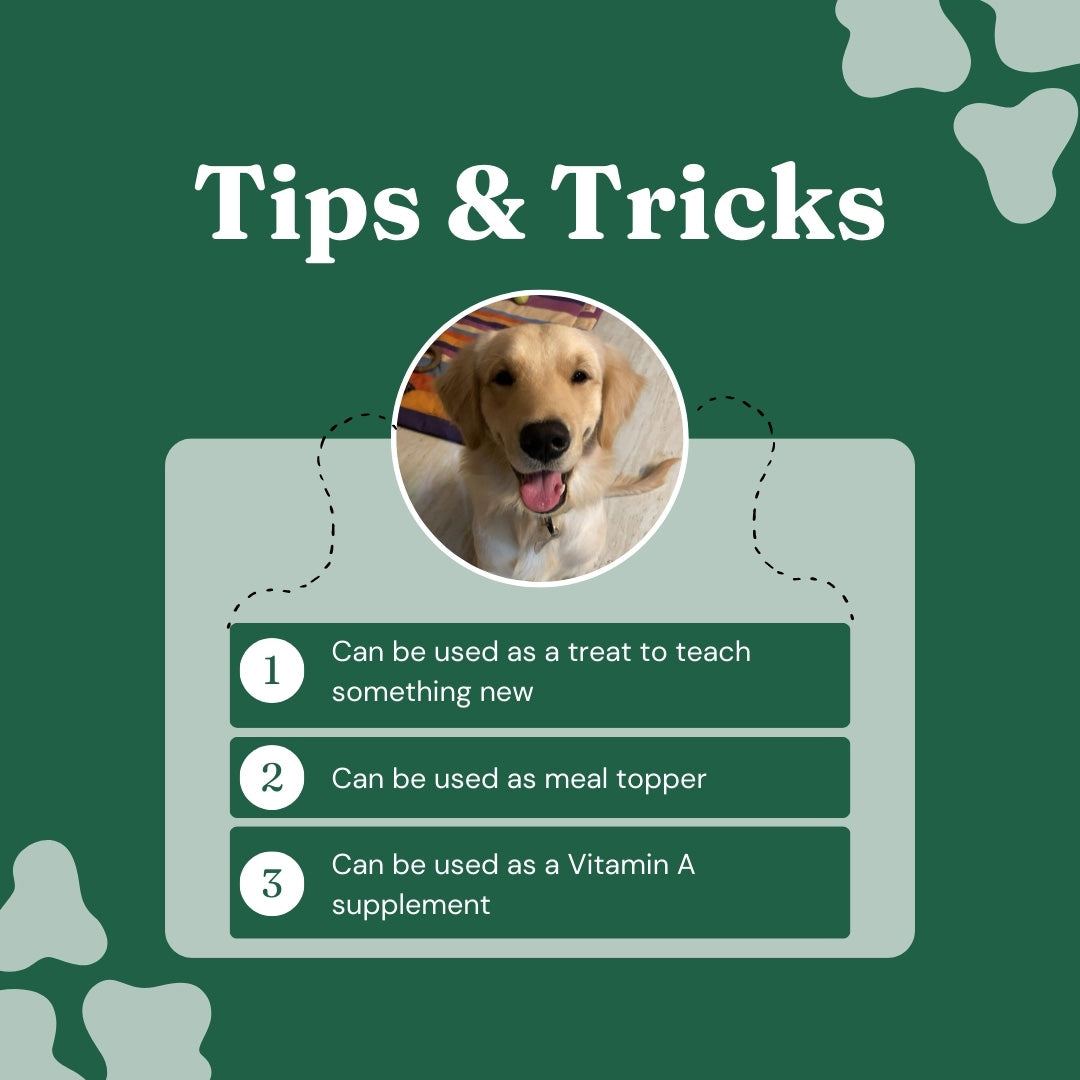 FurryFeast Immune Bites | Chicken Liver Jerky Treats for Dogs & Cats