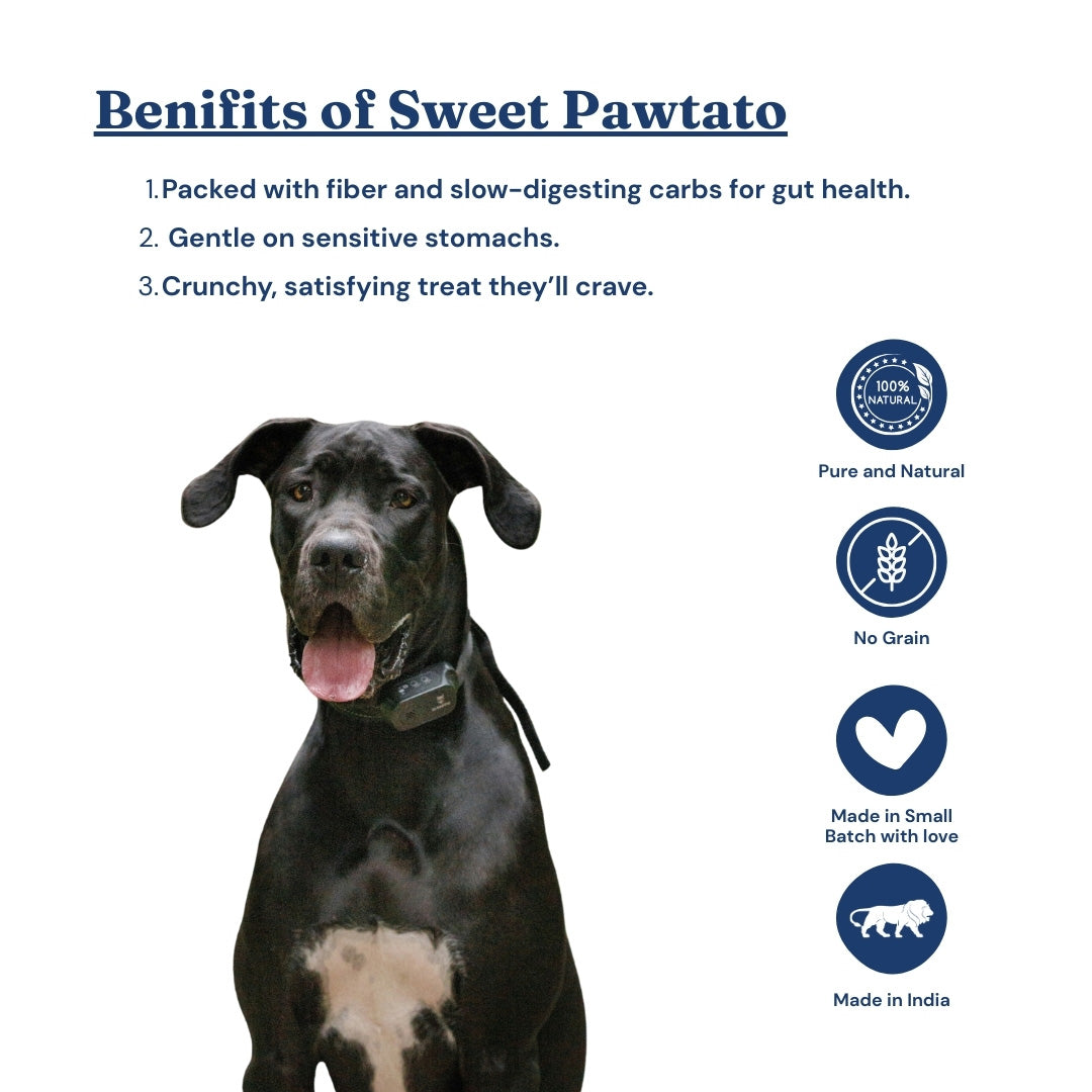 FurryFeast Sweet Pawtato | Dehydrated Sweet Potato Dog Treats