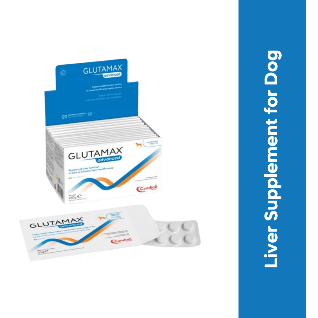 GLUTAMAX ADVANCE TABLET - Animeal
