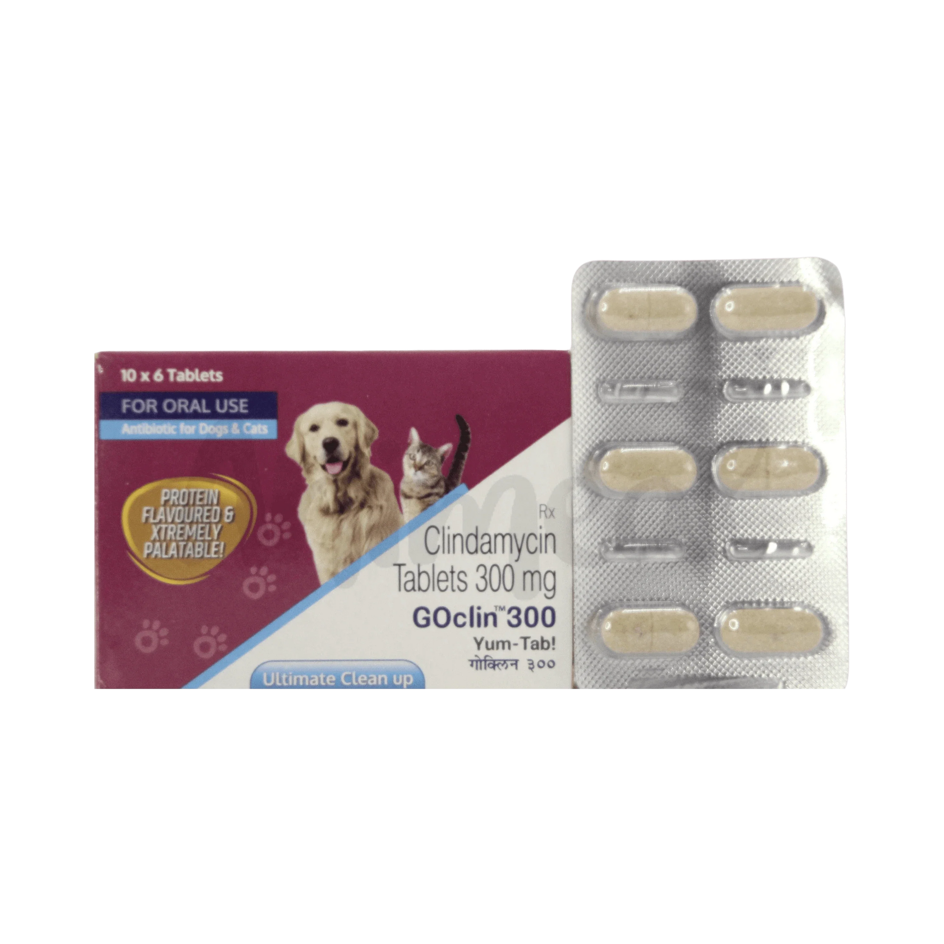 GOCLIN 300 TABLET - Animeal