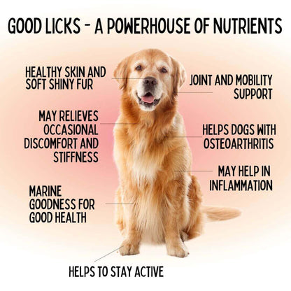 GOOD LICKS™ JOINT SKIN AND COAT PROTECT FOR DOGS (30 GRAMS) - Animeal