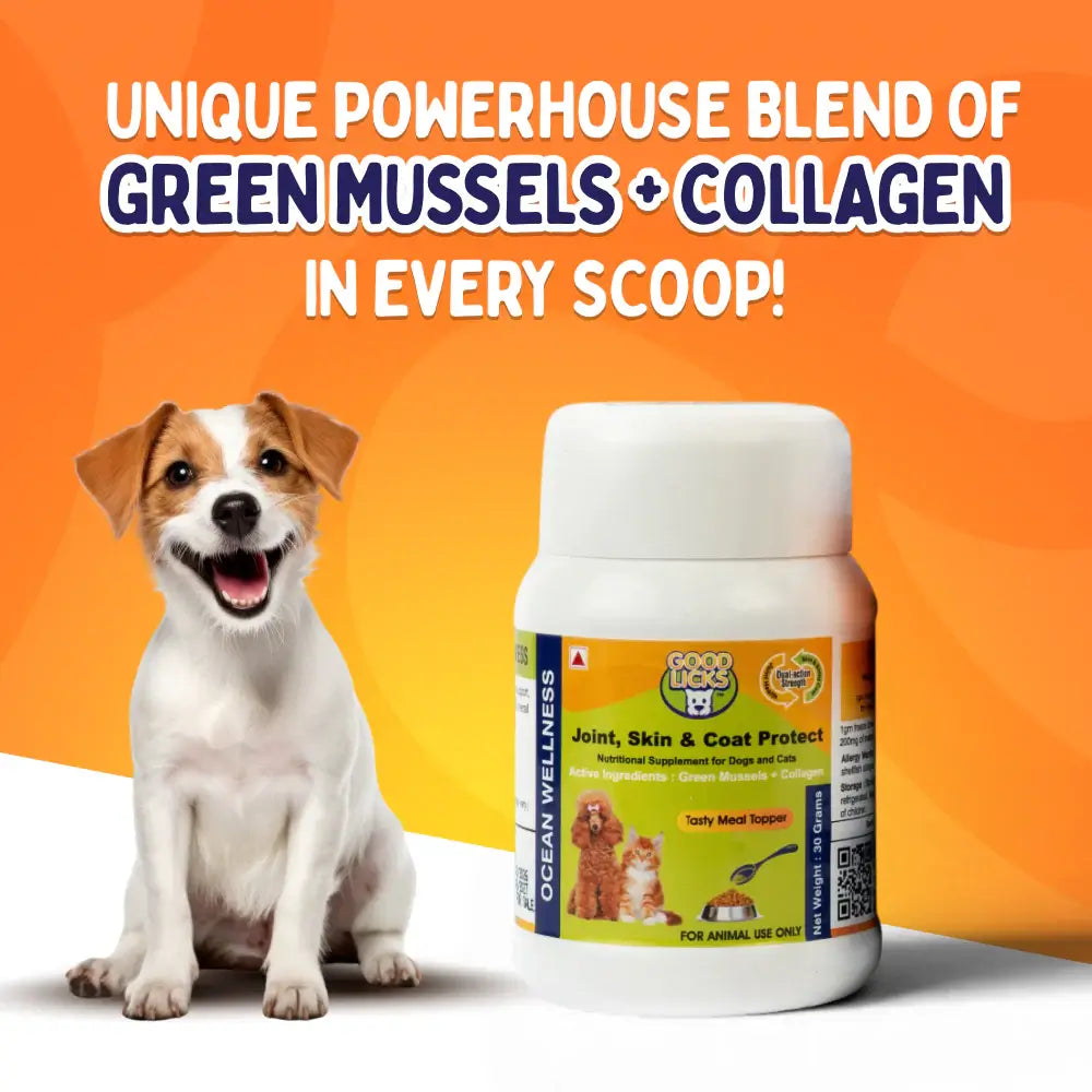 GOOD LICKS™ JOINT SKIN AND COAT PROTECT FOR DOGS (30 GRAMS) - Animeal