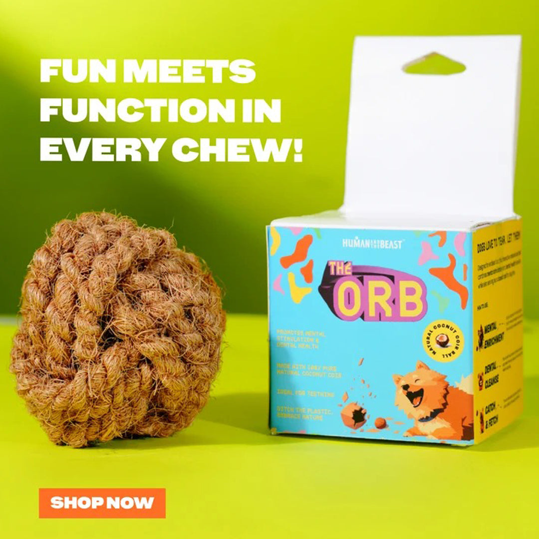 HUMAN AND THE BEAST The ORB