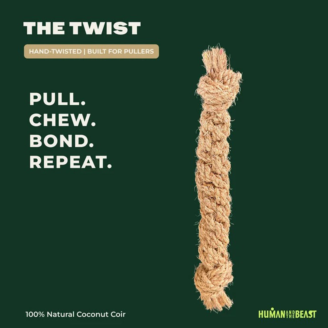 HUMAN AND THE BEAST The Twist | Single