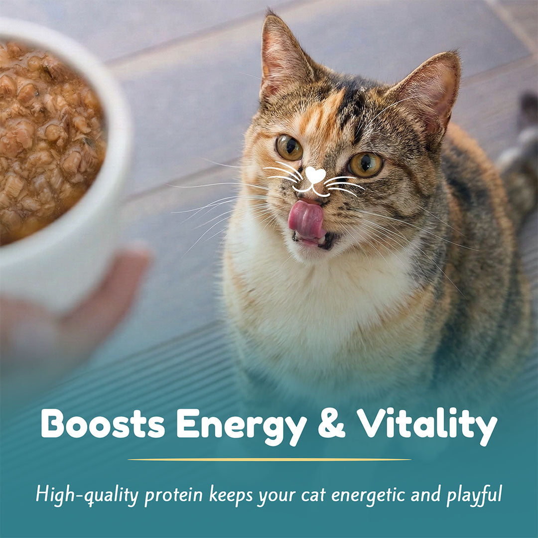 Halalicious Adult Trial Pack Cat Wet Food | Tuna, Mackerel, Fish & Chicken Flavours | 80g x Pack of 6
