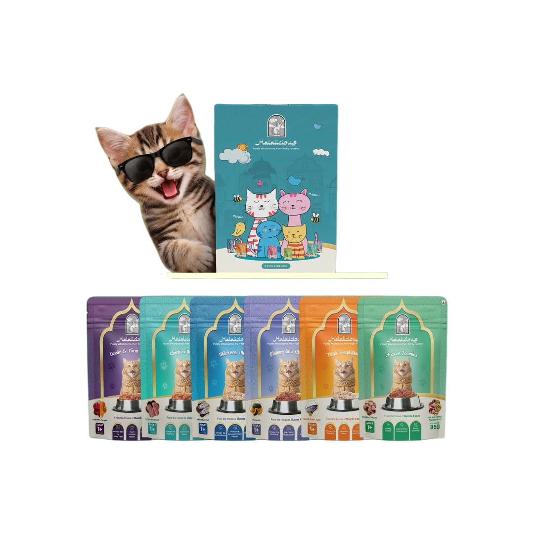 Halalicious Adult Trial Pack Cat Wet Food | Tuna, Mackerel, Fish & Chicken Flavours | 80g x Pack of 6