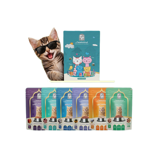 Halalicious Adult Trial Pack Cat Wet Food | Tuna, Mackerel, Fish & Chicken Flavours | 80g x Pack of 6