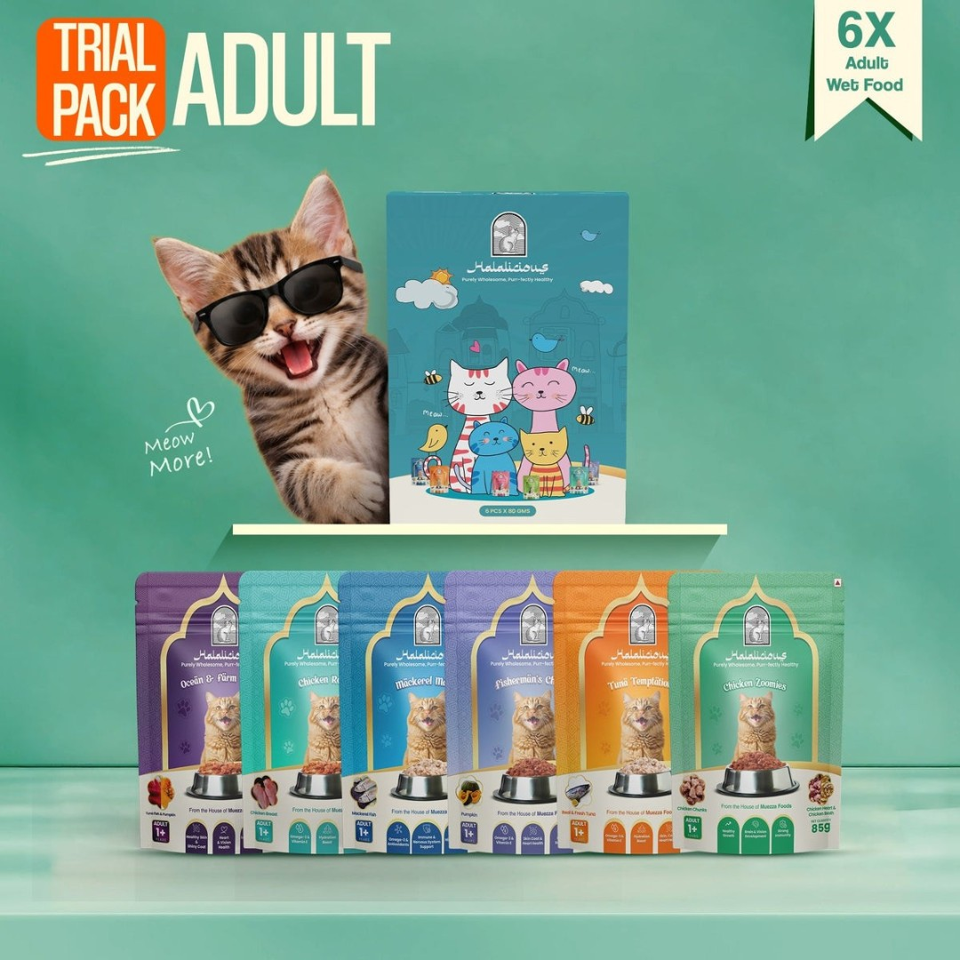 Halalicious Adult Trial Pack Cat Wet Food | Tuna, Mackerel, Fish & Chicken Flavours | 80g x Pack of 6