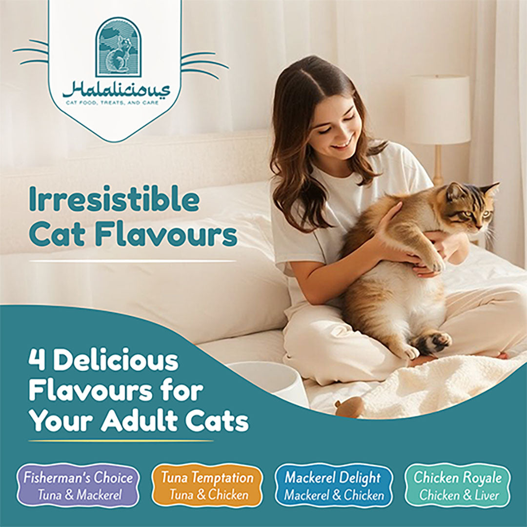 Halalicious Chicken Royale Cat Wet Food | Adult Cats | 80g x Pack of 6