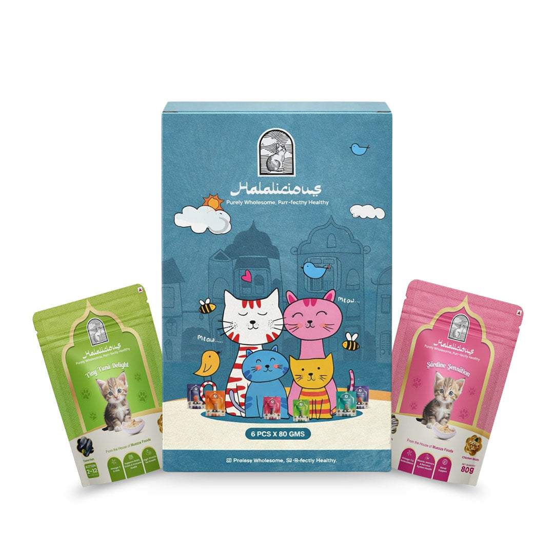 Halalicious Kitten Trial Pack Cat Wet Food | Tuna & Sardine Flavours | 80g x Pack of 6