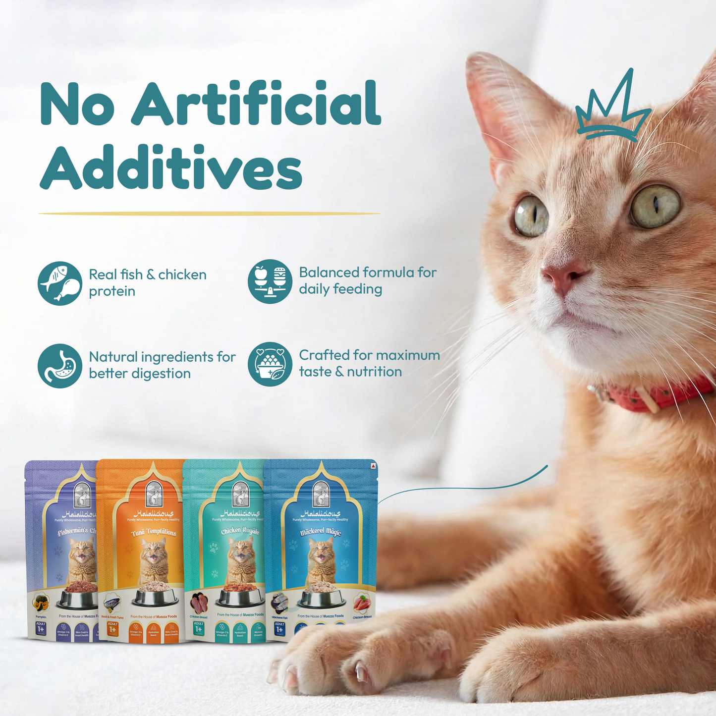 Halalicious Mackerel Magic Cat Wet Food | Adult Cats | 80g x Pack of 6