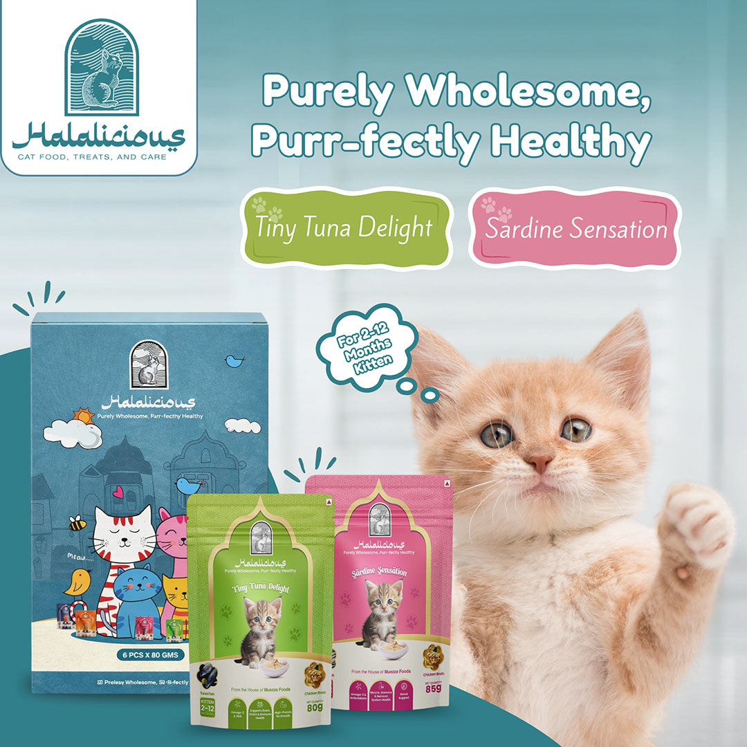 Halalicious Tiny Tuna Delight Cat Wet Food | Kitten | 80g x Pack of 6