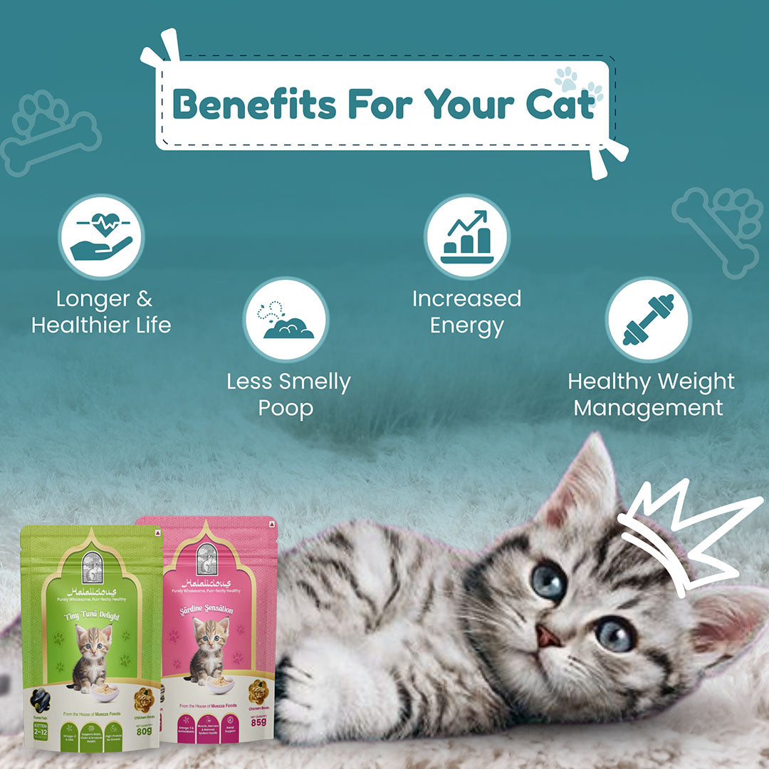 Halalicious Tiny Tuna Delight Cat Wet Food | Kitten | 80g x Pack of 6