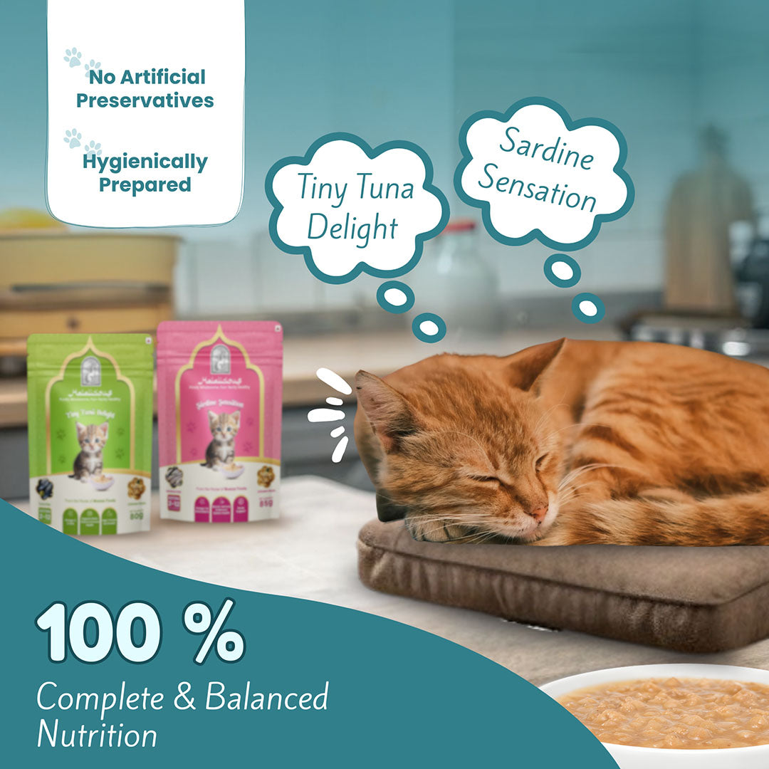 Halalicious Tiny Tuna Delight Cat Wet Food | Kitten | 80g x Pack of 6