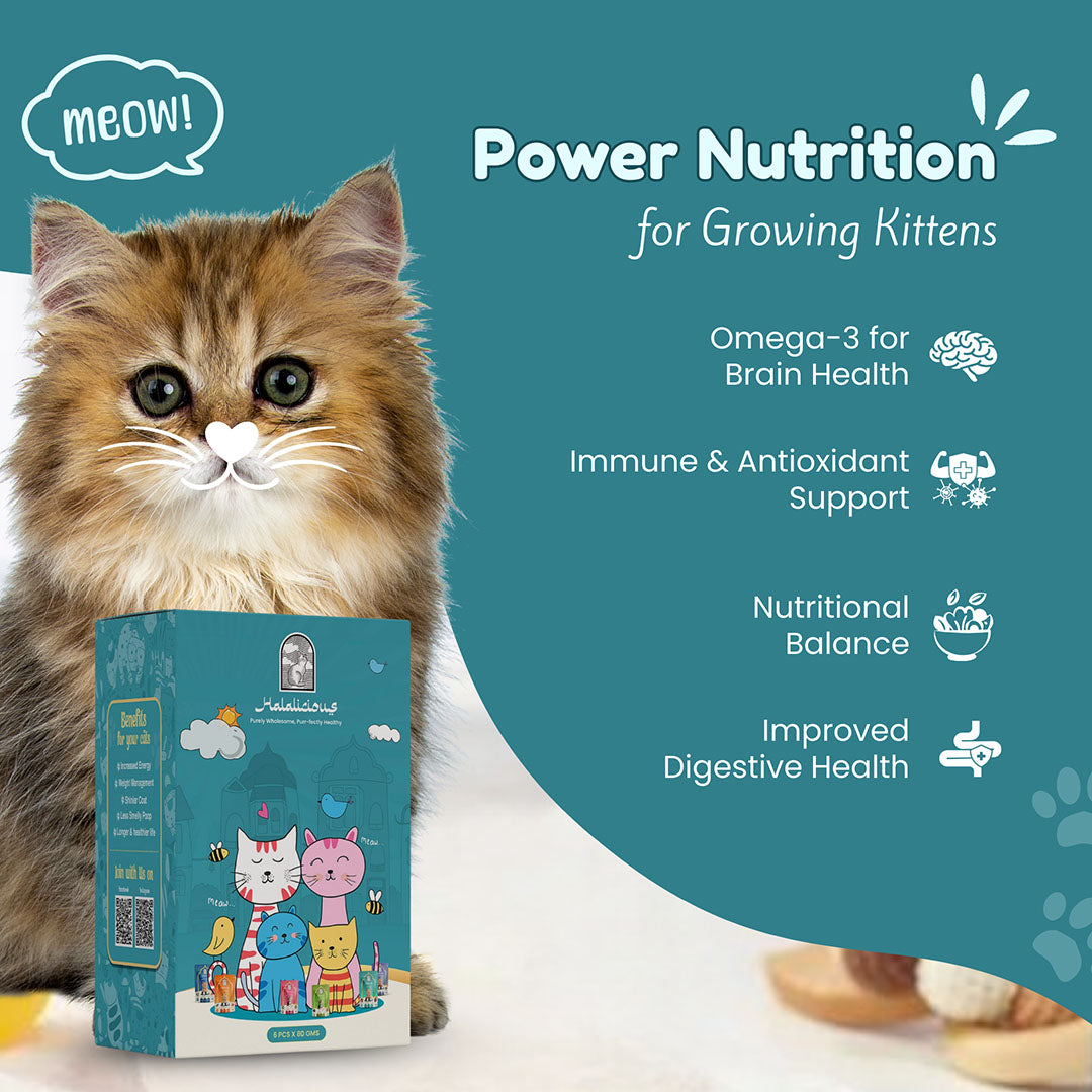 Halalicious Tiny Tuna Delight Cat Wet Food | Kitten | 80g x Pack of 6