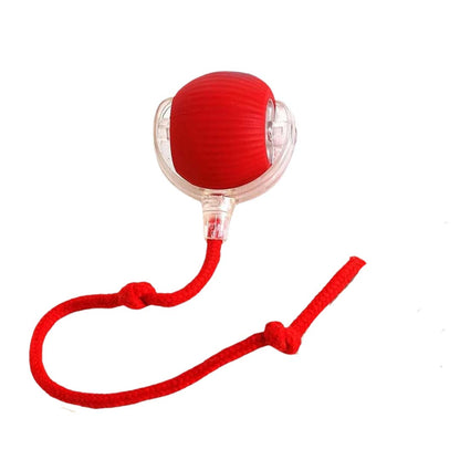 Healing Leaf Automatic Rope Toy With Thread