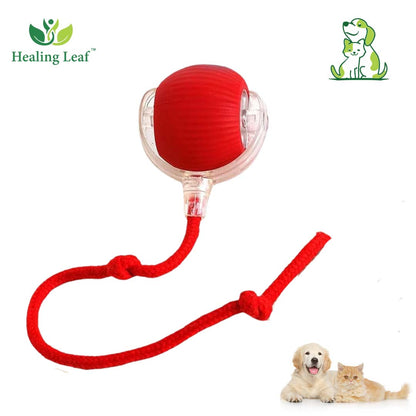 Healing Leaf Automatic Rope Toy With Thread