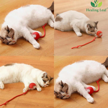 Healing Leaf Automatic Rope Toy With Thread