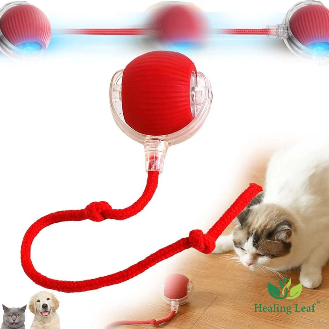 Healing Leaf Automatic Rope Toy With Thread