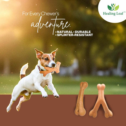 Healing Leaf Wooden Chew Toys - Antler
