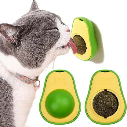Healing Leaf Avacado Cat Nip