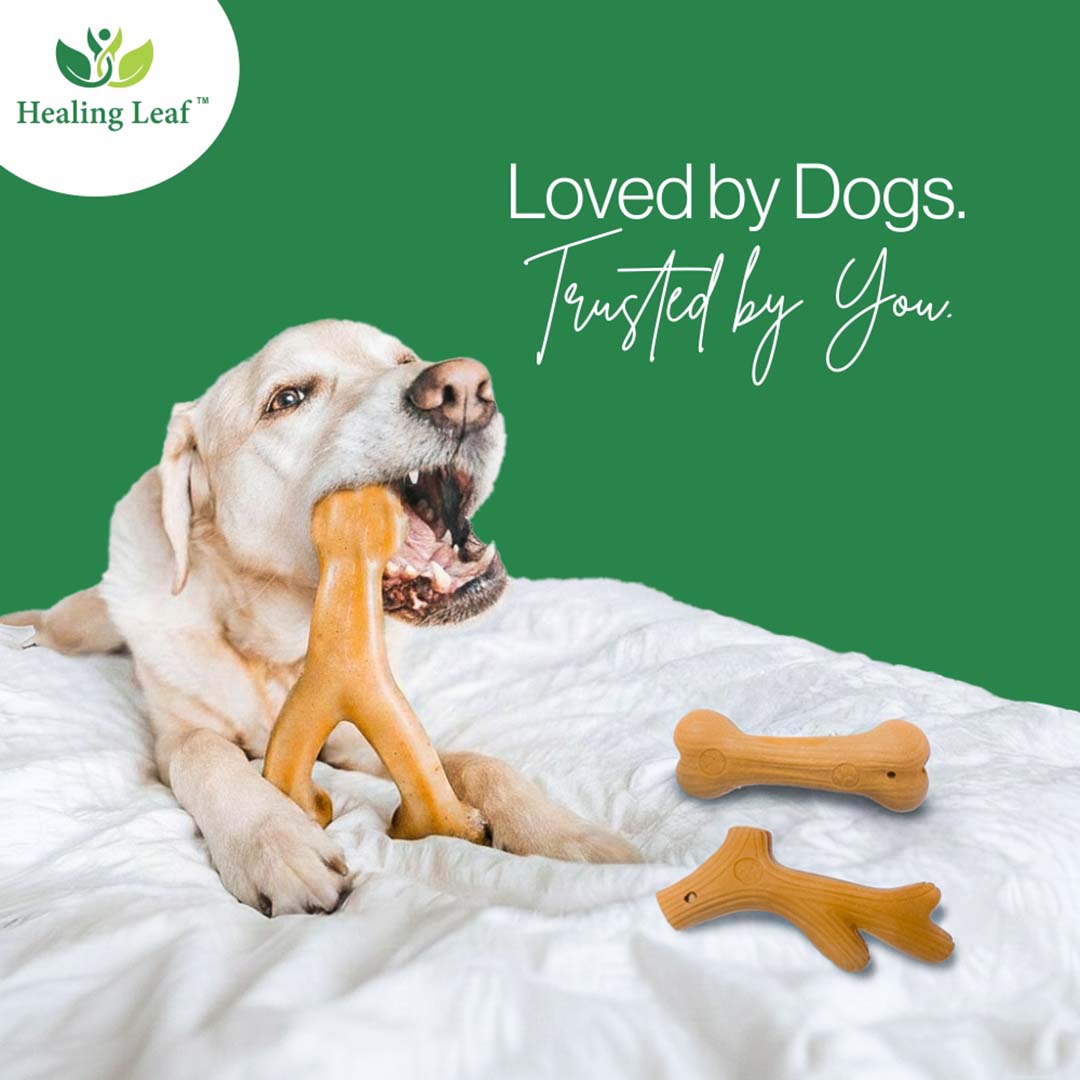 Healing Leaf Wooden Chew Toys - Bone