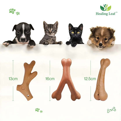 Healing Leaf Wooden Chew Toys - Bone