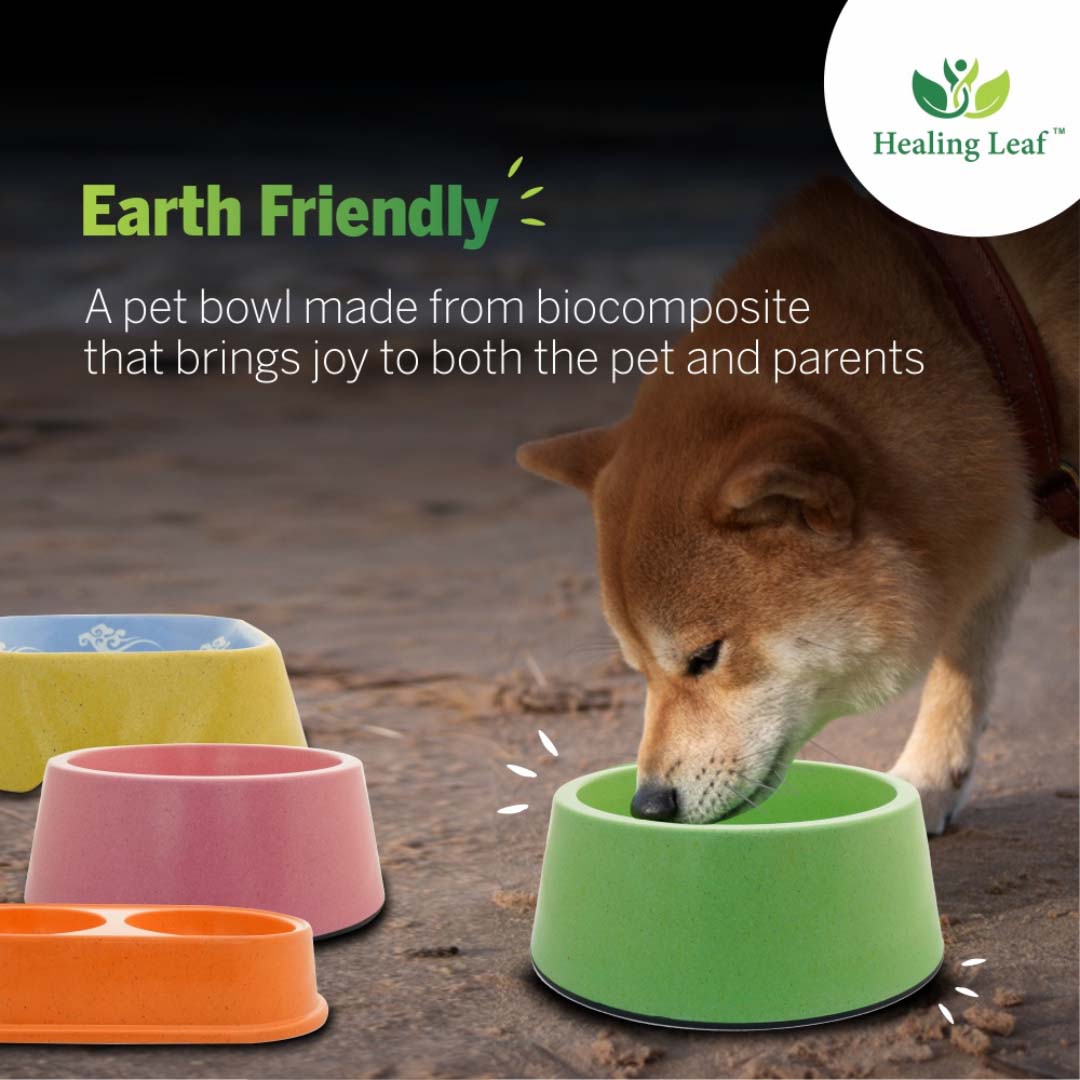 Healing Leaf Cartoon Bamboo Bowl | Green