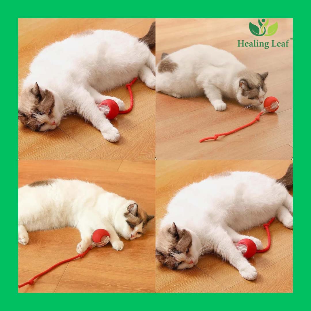 Healing Leaf Pet Essentials - Pack of 4