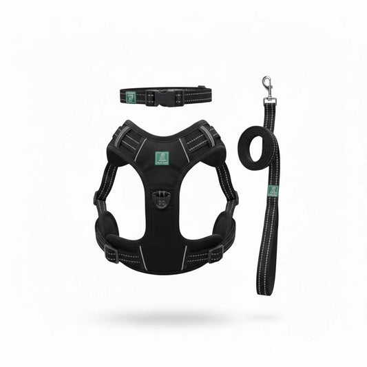 Healing Leaf Dog Harness | Black - Set of 3