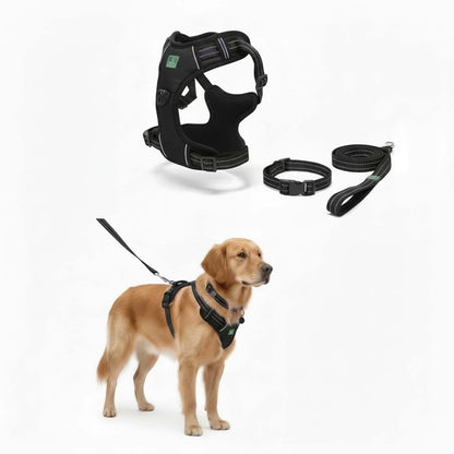 Healing Leaf Dog Harness | Black - Set of 3