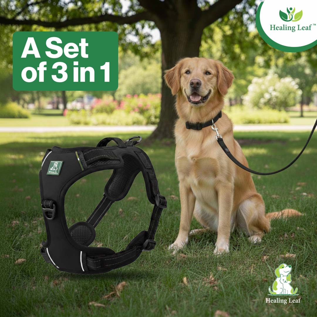 Healing Leaf Dog Harness | Black - Set of 3